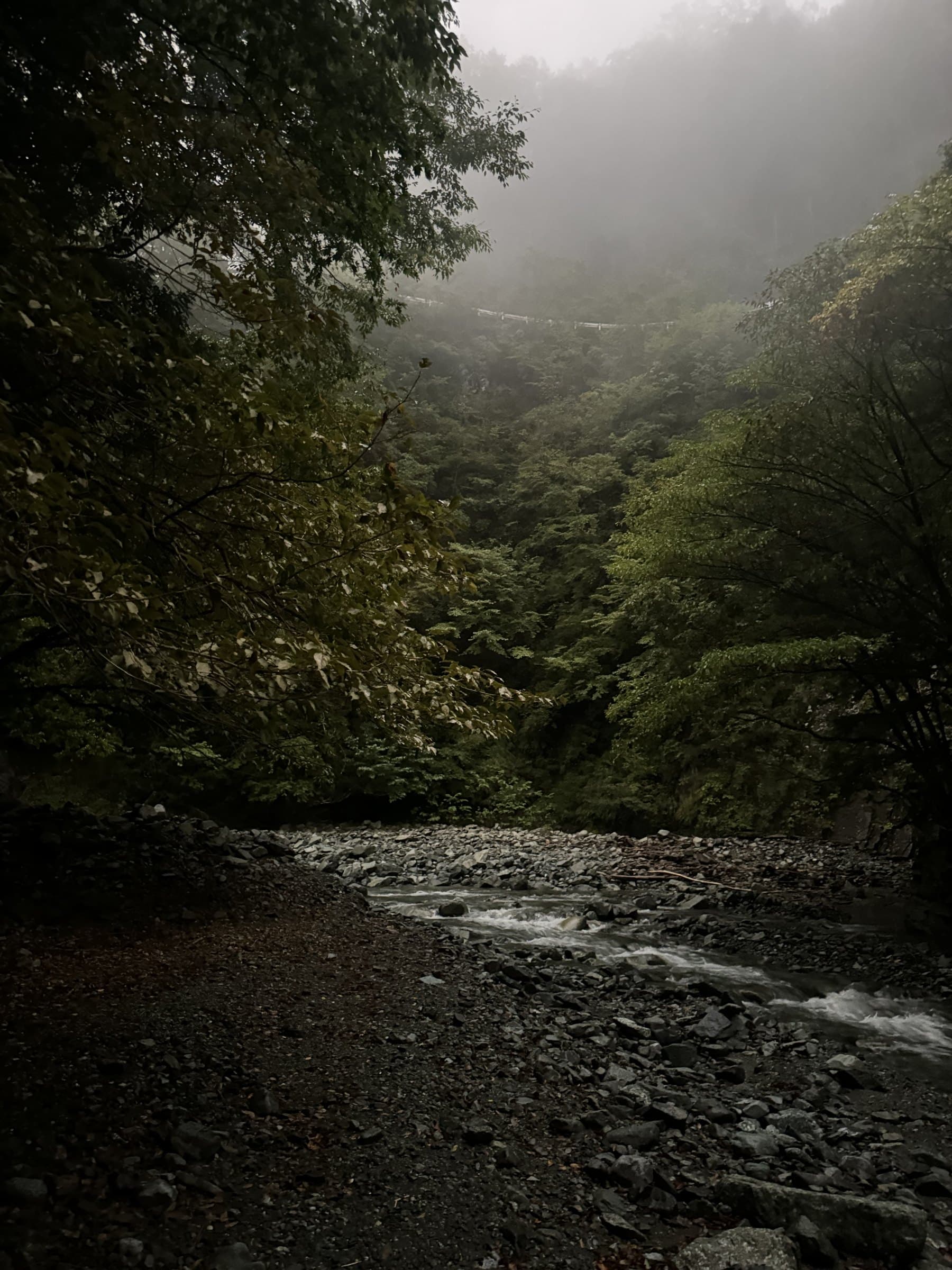 A mountain stream running through the fog-filled valley at Fujino